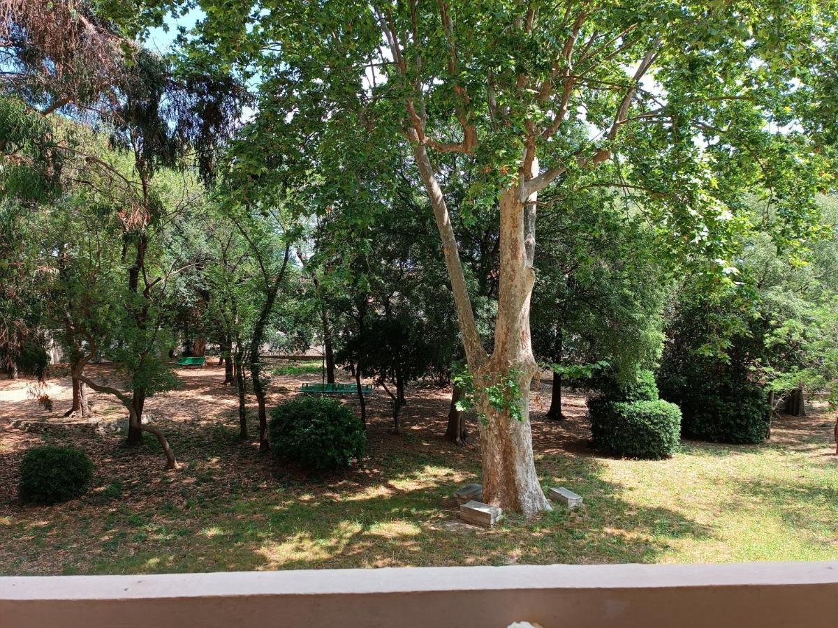 Chez Isa Appartement Toulon Buitenkant foto